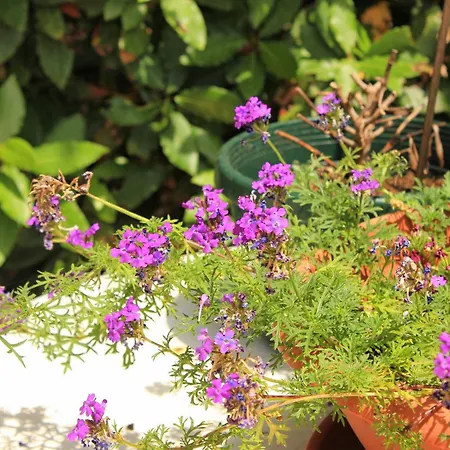 With A Parking Space بيت ضيافة مالي لوشينغْ