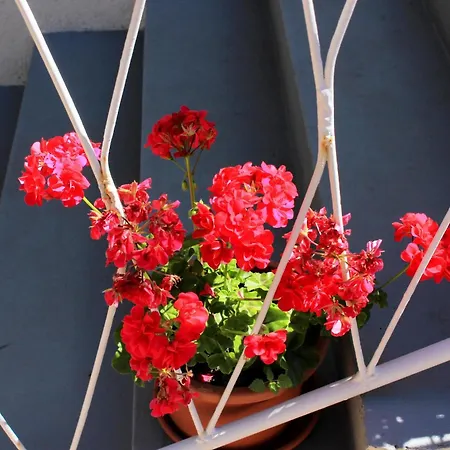 With A Parking Space 3* Mali Lošinj