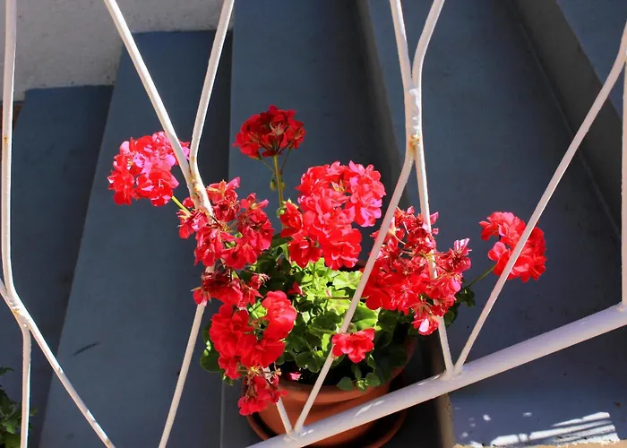 With A Parking Space 3* Mali Lošinj